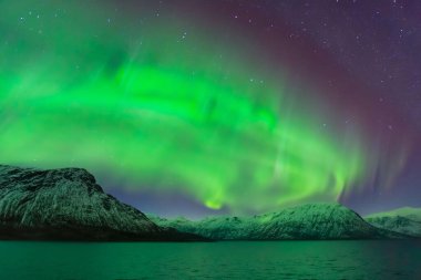 Norveç 'in Lofoten adalarında gece kuzey ışıkları