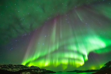 Norveç 'in kuzey ışıkları.