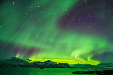 Lofoten Norveç 'te Aurora ışıkları.