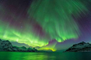 Aurora Borealis, Lofoten Adaları, Norveç