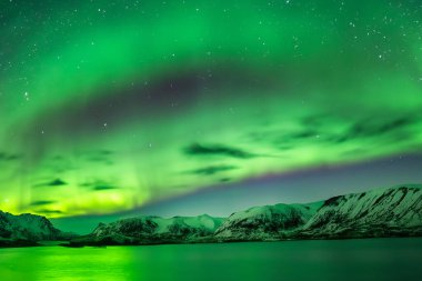 Kuzey Aurora Norveç 'teki Lofoten adalarının üzerinde.
