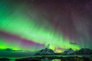 Aurora Borealis, Lofoten, Norveç