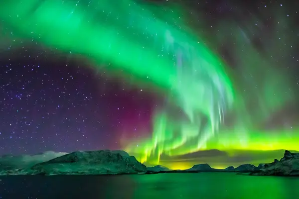Borealis ve lofoten ışıkları