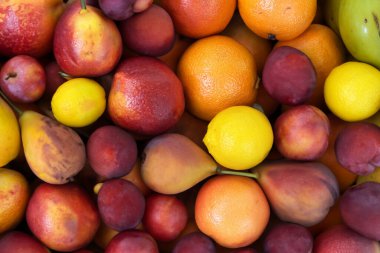 bir sürü renkli taze meyve