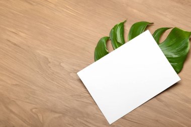 Tahta zemin üzerinde boş kağıt ve yeşil yapraklar