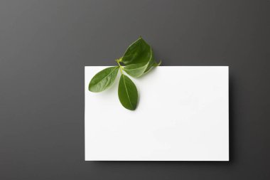 yeşil yaprakları ile boş oyun kağıdı.