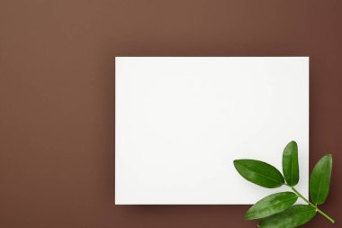 Siyah beyaz çiçekli, boş beyaz bir kart. düz yatış, üst görünüm, en düşük biçim.