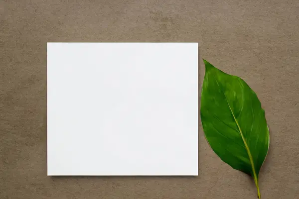 Stock image white paper on green background