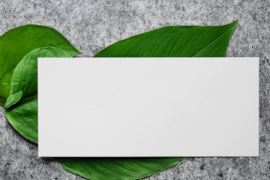 Yapraklı boş kağıt