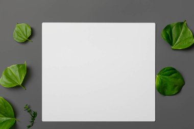 Beyaz kağıt ve yeşil yapraklar için boş bir sayfa.