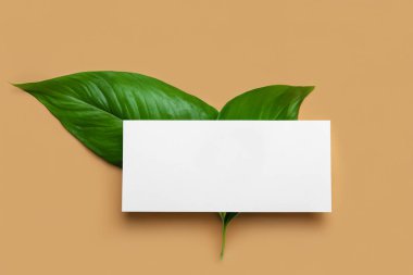 Yapraklı beyaz kağıt ve kopyalama alanı