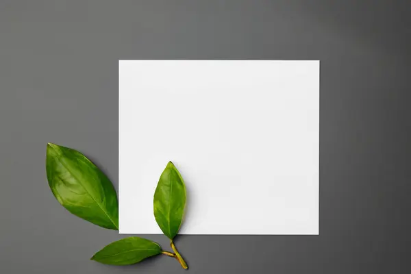 Stock image blank paper card on a green background, top view. mock - up