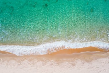 Beyaz kum ve hindistan cevizi ile güzel deniz ve sahil manzarası