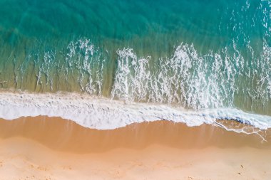 Hindistan cevizi palmiyesi ve denizi olan tropikal bir sahil.