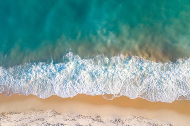 Palmiye ağaçları ve denizi olan güzel tropikal plajlar