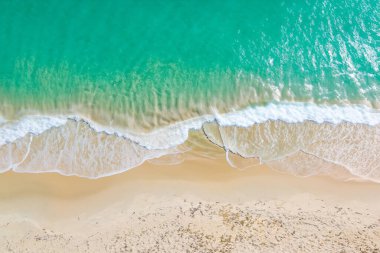 Dalgalı plaj manzarası