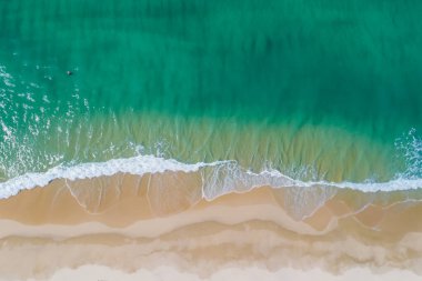 Palmiye ağaçları, deniz ve mavi suyu olan güzel tropik plajlar.