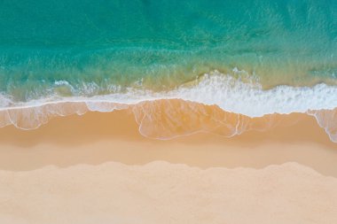 Güzel sahil ve tropikal deniz