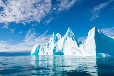 Greenland 'de okyanusta buzdağları