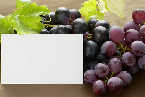 stock image blank card with fresh grape and grapes on white background.