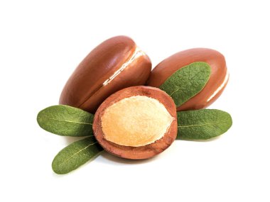Argan Tohumları, Cilt bakımı ve saç bakımı için çok besleyici Argan yağı üretimi, Argania spinosa çekirdeği yağı.