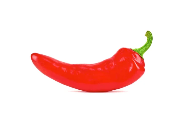 Velká Červená Chilli Paprika Izolované Horké Červené Chilli Vaření Ingredience — Stock fotografie