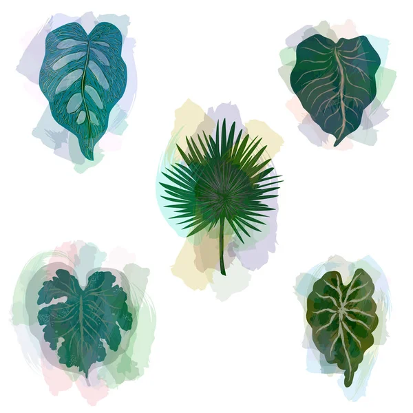 Vector Clipart Set Tropical Leaves Translucent Colored Texture Strokes — Stock Vector