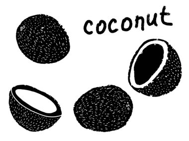 Hindistan cevizi stilize edilmiş egzotik meyve. Linocut tarzında elle çizilmiş bir resim. Tasarım için siyah vektör ögesi