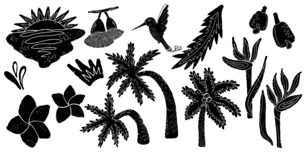 Vector Tropical Set Palm Trees Flowers Animals Black Hand Drawn — Stock Vector