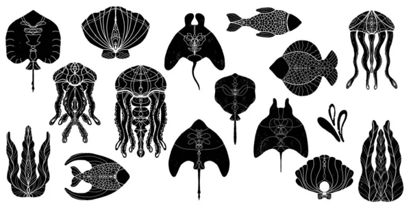 Merieläimet Kalat Rauskut Meduusat Levät Kuoret Vektori Joukko Musta Muotoilu — vektorikuva