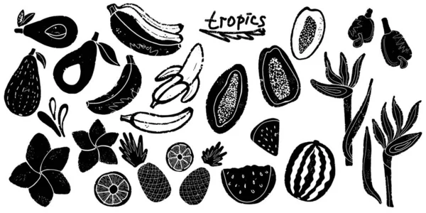Tropisches Set Exotischer Blumen Und Früchte Banane Avocado Plumeria Papaya — Stockvektor