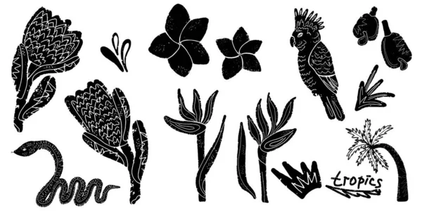 Exotiska Tropiska Blommor Illustration Linocut Stil Vektoruppsättning Elementuppsamling — Stock vektor