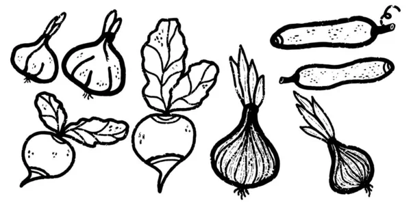 落書きスタイルの野菜セット グラフィックアート デザイン セット コレクションのためのベクトル要素 — ストックベクタ