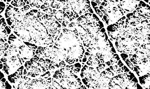 Grunge Black Detaillierte Textur Vektorhintergrund — Stockvektor