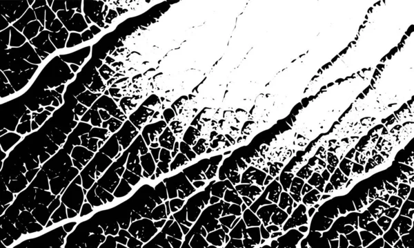 Grunge Texture Fissures Veines Lignes Vecteur Fond Noir — Image vectorielle