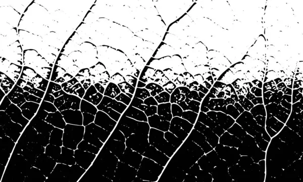 Black Grunge Vector Texture Veins Cracks Stripes Vector Background — Stock Vector