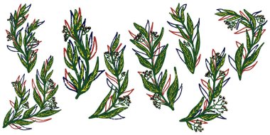 Yapraklı ve dutlu dallar. Vektör tanecikli doku elementleri, karikatür tarzı, karalama, grunge dokusu, renkli kalem, eski boya, pastel, kalem. Vektör koleksiyonu.