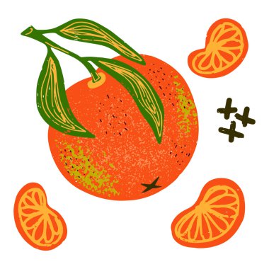 Dilimlenmiş bir dalda mandalina. Çizgi film stili, kalem, boya kalemi dokusu, pastel, guaj. Vektör kümesi, elementlerin koleksiyonu.