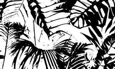 Grunge siyah soyut dokusunu detaylandırdı. Tropik yapraklar. Vektör arkaplanı