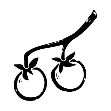 Daldaki domatesler. Çizgi, karalama, doku çizimi. El çizimi. Vektör ögesi.