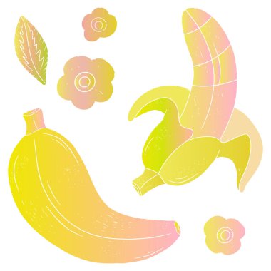 Gradyan muzlar. Tropik egzotik bir set. Doku vektörü elementleri