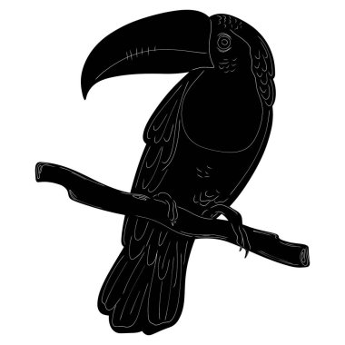 Toucan Doğal Kuş Görünümü Siyah Vektör Siluet Tasarım Elementi