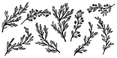 Yaprak ve böğürtlenli dallar. Linocut biçim element dokusu yüzey vektörü