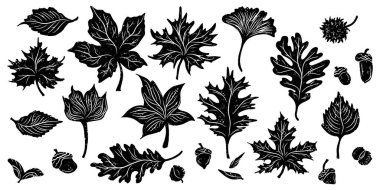 Doğal yaprak siluetleri vektör eko elementi kümesi