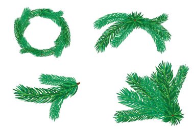 Realistic green pine branches with needles isolated vector illustration for seasonal and holiday design. Set of elements clipart