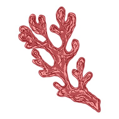 Yosun mercanları stilize edilmiş teknikle. Deniz dünyası, doku kalem darbeleri. Vektör ögesi