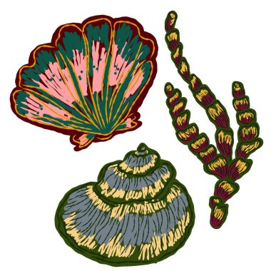 Moda tekniğinde kabuk. Deniz dünyası, kabuk dokusu, kalem darbeleri. Vektör ögesi