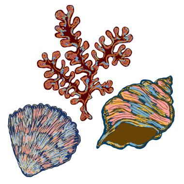 Moda tekniğinde kabuk. Deniz dünyası, kabuk dokusu, kalem darbeleri. Vektör ögesi