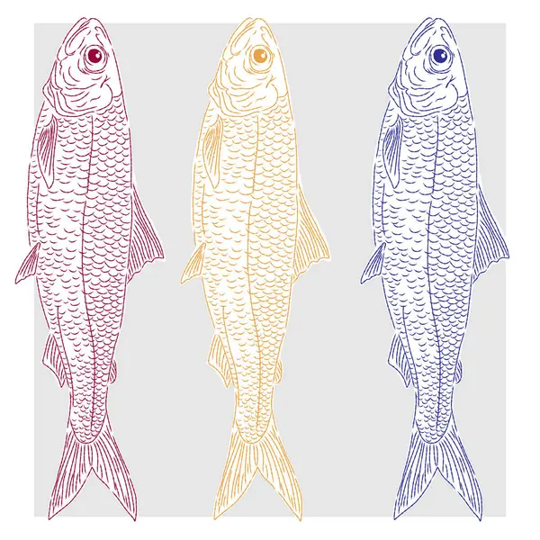 Üç farklı renkte sardalya balığı. Akdeniz elementleri, egzotik tropikal. Çizim elemanları ile desenli illüstrasyon, el çizimi