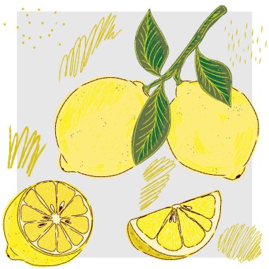 Dala konmuş limon. Akdeniz elementi, egzotik tropikal. Elle çizilmiş taslak ögeleri ile desenli illüstrasyon